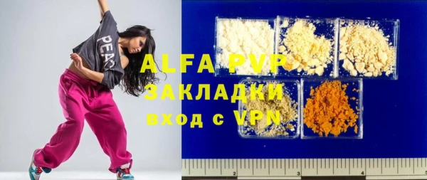 хмурый Абаза