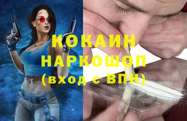 хмурый Абаза