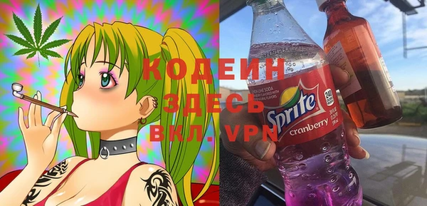 хмурый Абаза