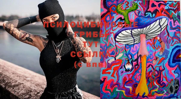 Альфа ПВП Абдулино