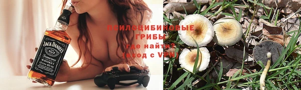 крисы Абинск