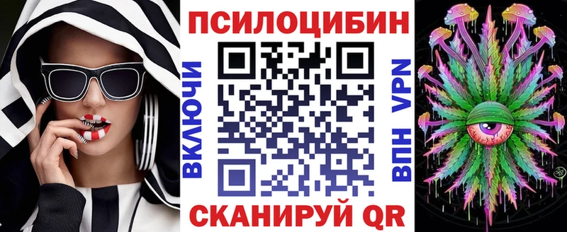 Псилоцибиновые грибы Psilocybe  закладки  Мостовской 